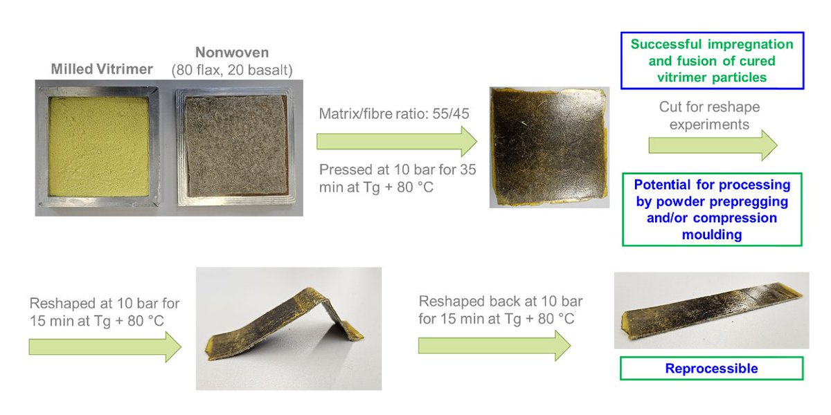 Our project partner @Hochschule_KL has successfully impregnated and fused cured #vitrimer particles within a hybrid non-woven for a (re)processible, mouldable, reshapable and #recyclable bio-composite!

Fun fact: Vitrimers are #thermosets (re)processible like #thermoplastics. 💡