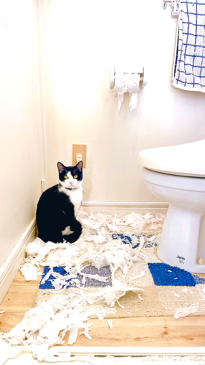 事件現場と犯人

#これでフォロワーさん増えました