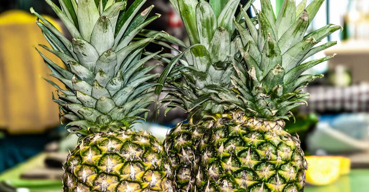 kuriosetage's tweet photo. Schon gewusst? 🍍🍍🍍 Am 27. Juni feiern Ananas-Fans weltweit den Internationalen Tag der Ananas, den International Pineapple Day. Guten Appetit. #InternationalerTagderAnanas #27Juni #foodholiday #kuriosefeiertage
https://t.co/0tBBAvdv4a https://t.co/BMFVKhT9pf