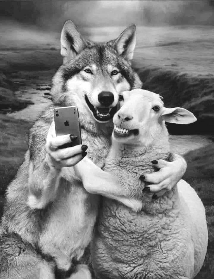 𝐃üz𝐞𝐧 𝐛𝐨𝐳𝐮𝐤 𝐨𝐥𝐚𝐛𝐢𝐥𝐢𝐫 𝐬𝐢𝐳 𝐛𝐨𝐳𝐦𝐚𝐲ı𝐧 𝐤𝐞𝐧𝐝𝐢𝐧𝐢𝐳𝐢

Devlet Bahçeli / Hasan Mezarcı / Ak Parti'de 7 Gelmeyin Liderimiz Devlet Bahçeli 
#MemuraYüzde50Zam #SONDAKİKA
 #mügeanlı