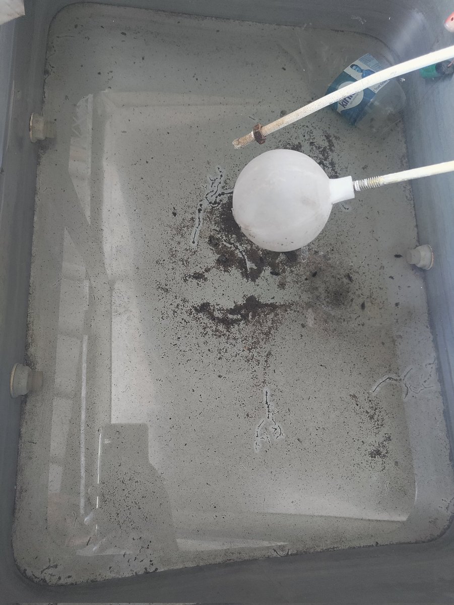 shrawangodara_'s tweet image. भगत की कोठी स्टेशन द्वितीय द्वार पर लगा यात्रियों के पीने के पानी लगा हुआ वाटर कूलर जान के साथ खिलवाड़ किया जा रहा हे। कई सारे कीट पतंग मकोड़े आदि को मानव जीवन को पीने के खतरा हे कृपया व्यवस्था सुधारे।
@DRMJodhpurNWR @AshwiniVaishnaw @DainikBhaskar @1stIndiaNews @arvindchotia