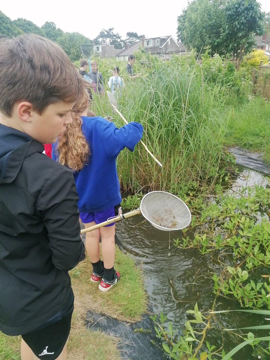 Llanishen Fach tweet media