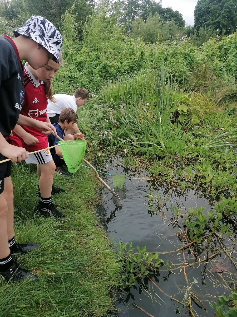 Llanishen Fach tweet media