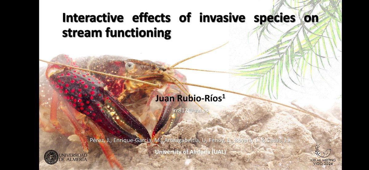 Juan Rubio-Rios tweet media