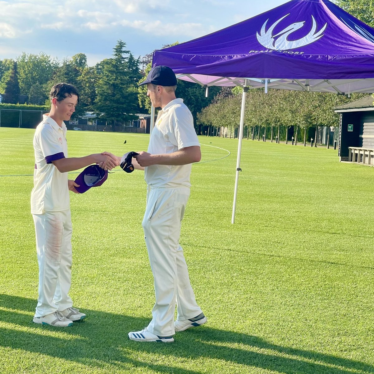 Perse Cricket tweet media