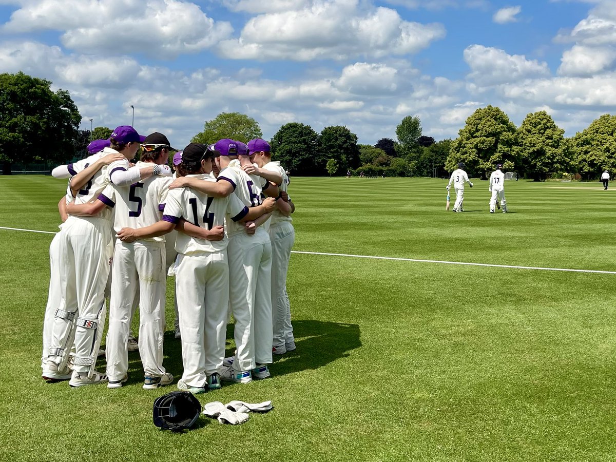 Perse Cricket tweet media