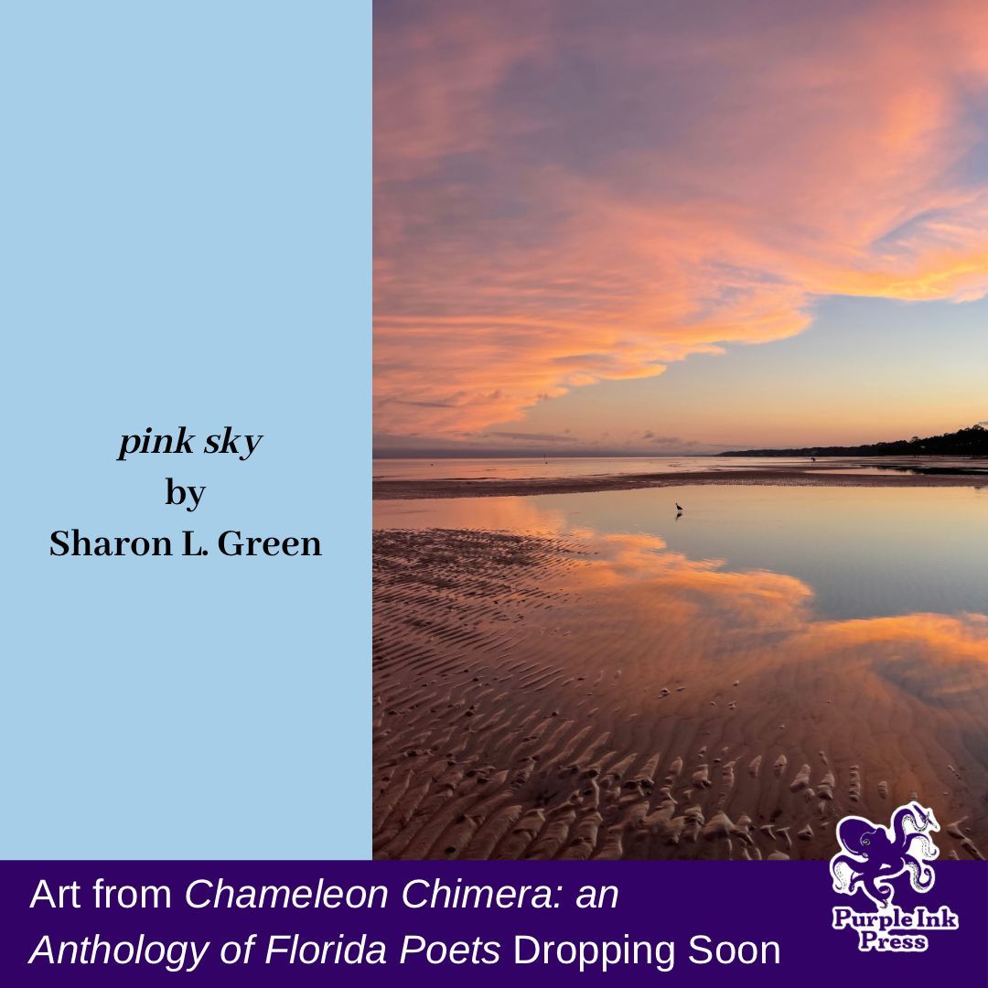 Purple Ink Press tweet media