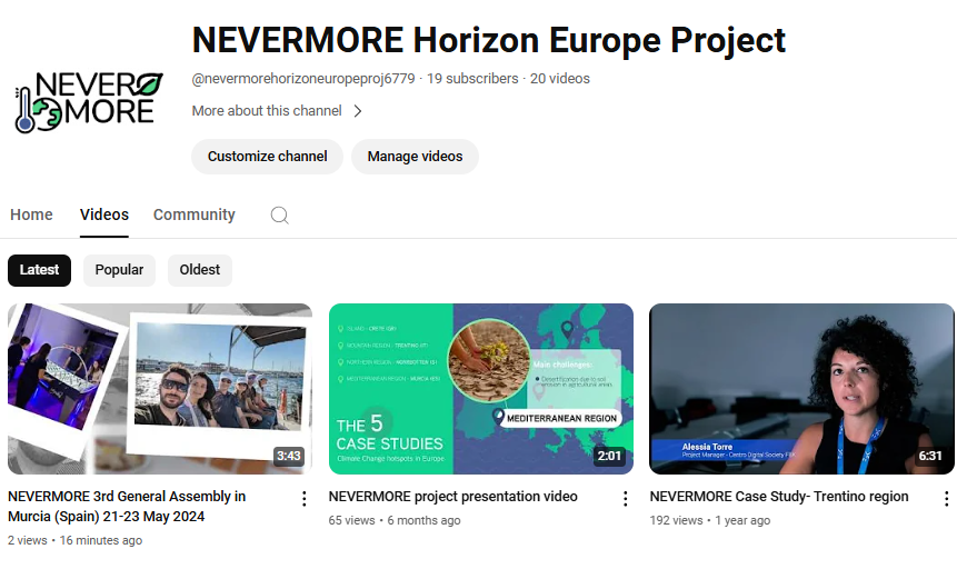 NEVERMORE Project tweet media