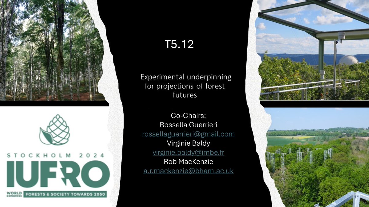 What does manipulation experiments tell us about forest responses to global change factors? Join our session this afternoon at the #IUFRO2024 - room B3 to find out :-)