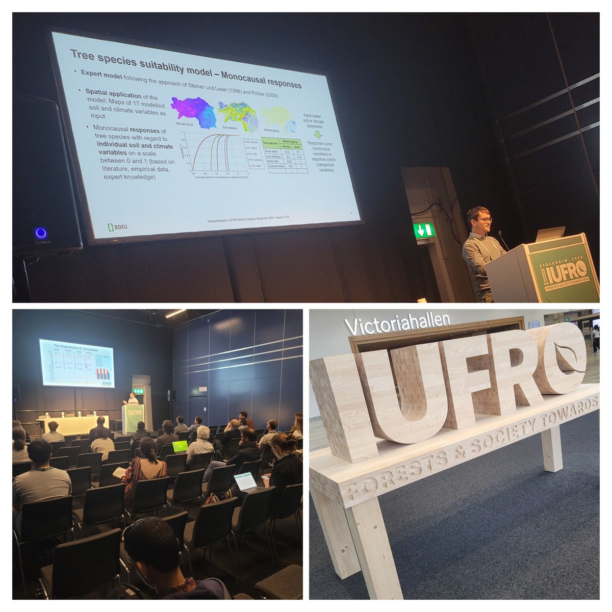Michael Kessler has nicely presented the tree species suitability model supporting #forest management at #iufro2024 - good insight in the use of the dynamic forest site classification in #Austria supported by #waldfond <a href="/BOKUvienna/">BOKU University</a>  @BML_gv_at