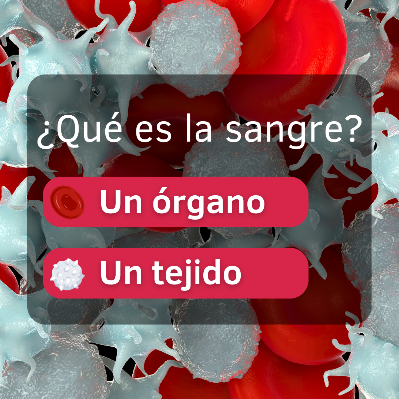 criscancer's tweet photo. 🩸 TEST SOBRE LA SANGRE 🩸

Descubre si puedes superarlo.