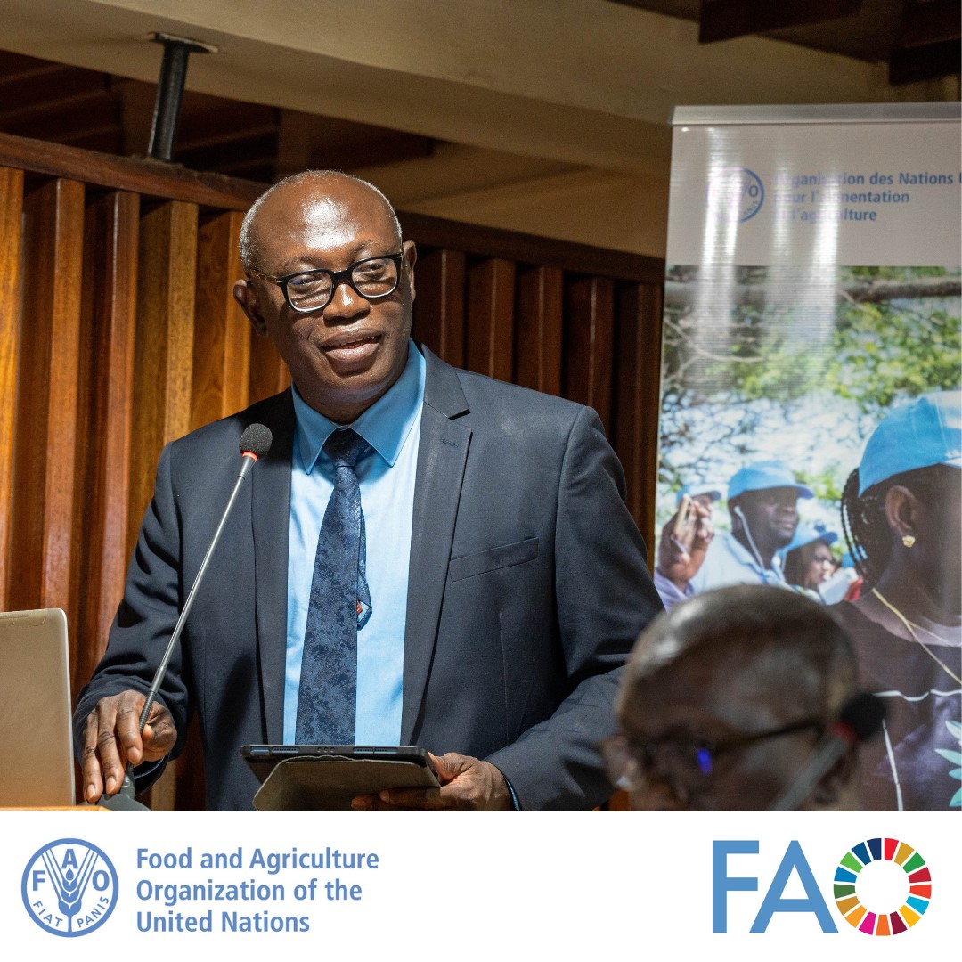 FAOGhana's tweet photo. π³"Collaboration between CSIR-FORIG and international organizations like FAO has enabled us provide technical support for research and development activities in Ghana and the #WestAfrican sub-region". π- Dr. Kwame Antwi Oduro, Director, CSIR-FORIG #Forestry #CSIRFORIG #FAO https://t.co/F0dGC5C4m8