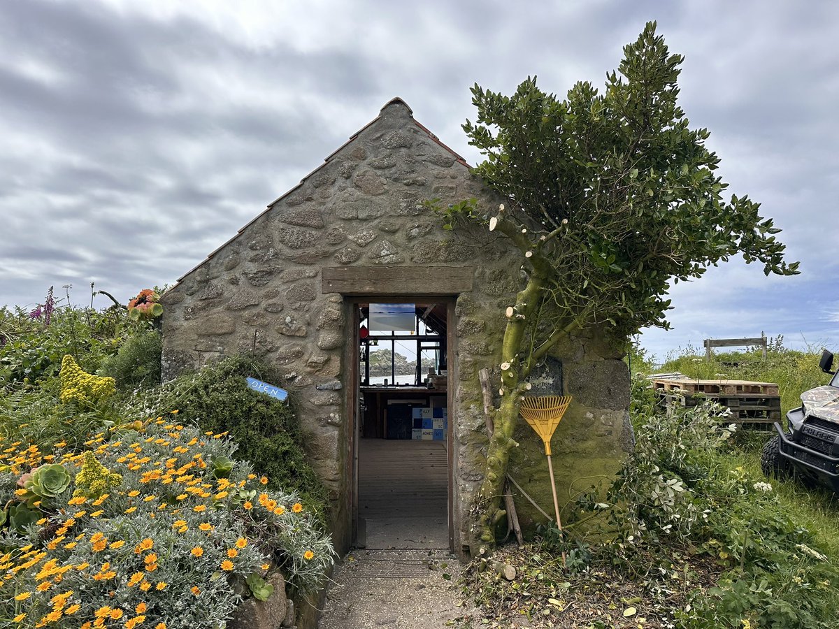 Richard Pearce (@artscilly) on Twitter photo 
