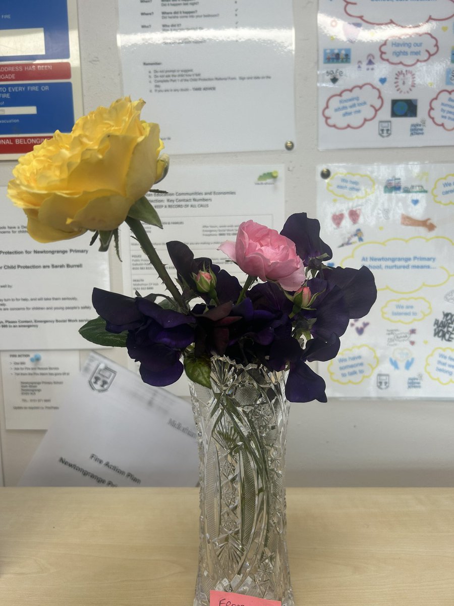 Kerry Dolan tweet media