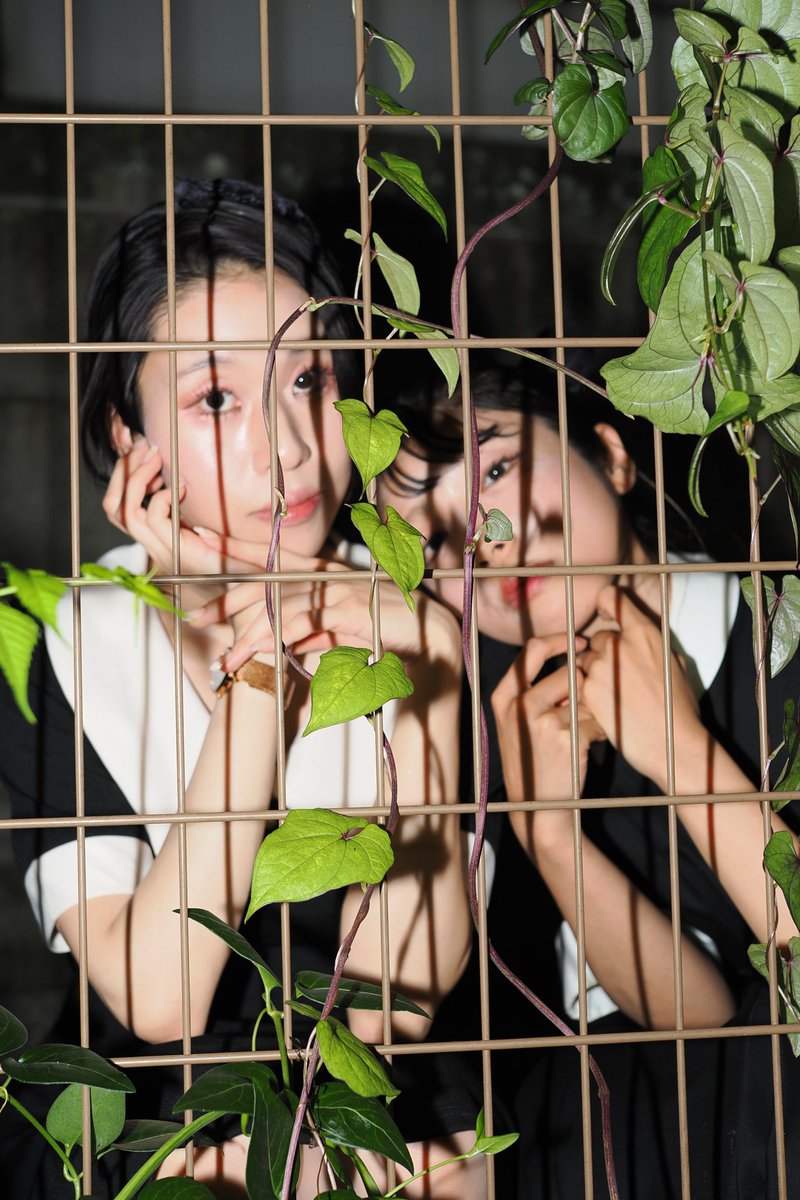 絹笠奈桜子 tweet media