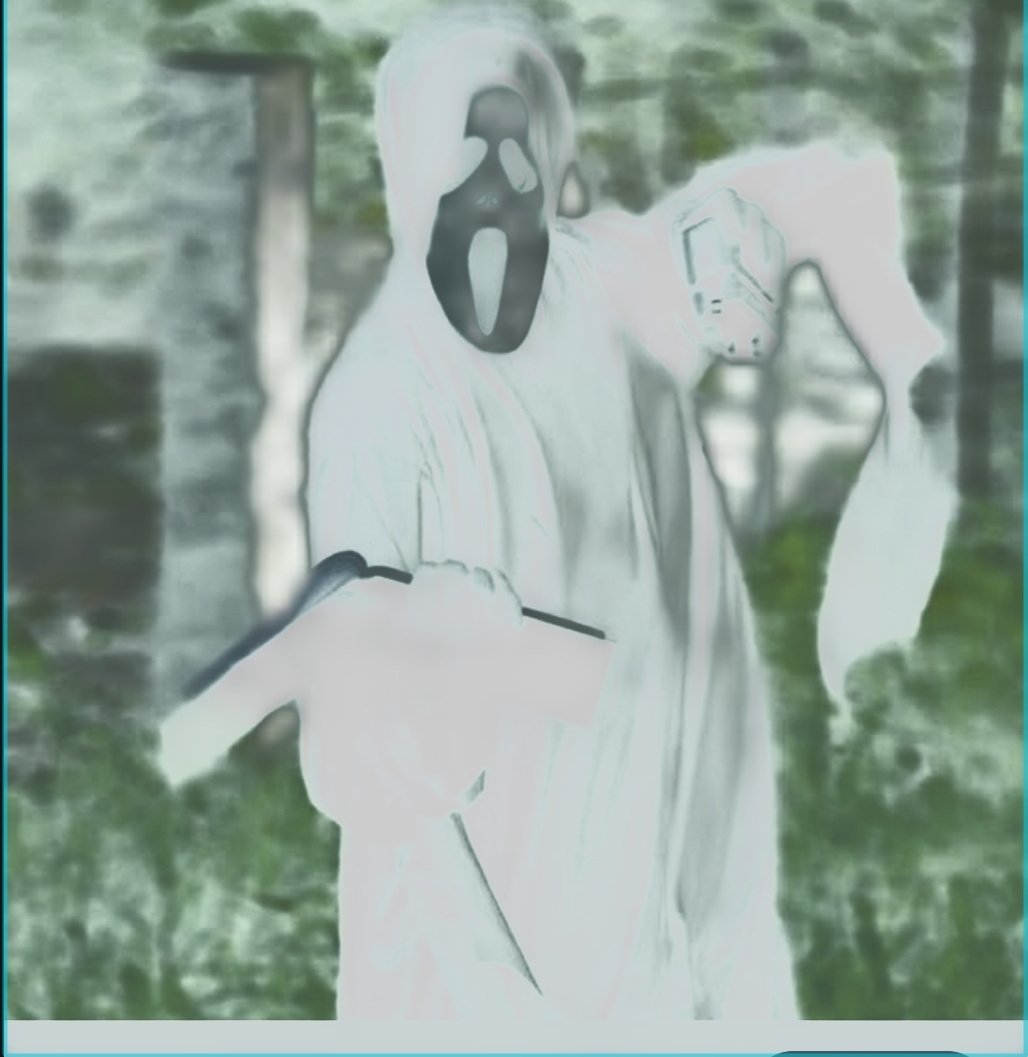 EU ODEIO ASSIM, ESCONDIDINHO kkkkkkkkkkkkkkkkkkkkkkkkkkkkkkkkkkkkkkkkkkkkkkkkkkkkkkkkkk mt engraçado aquele meme lembram