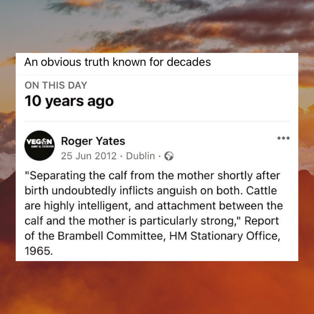 Roger Yates (@rogeryates) on Twitter photo 