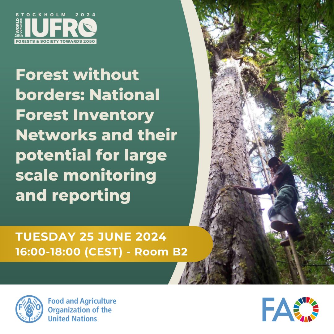 FAO Forestry (@faoforestry) on Twitter photo At #IUFRO2024?
Don't miss "Forest without Borders: National Forest Inventory Networks" today 16:00-18:00!
Learn about the role of national forest inventories in trans-national forest reporting with @anssipek <a href="/CarlaRamzea/">Carla Ramirez Zea</a> @Rocio_condor <a href="/IciarAlberdi/">Iciar Alberdi</a> & more
<a href="/INIA_es/">INIA-CSIC</a> <a href="/UFAM_/">Ufam</a> At #IUFRO2024?
Don't miss "Forest without Borders: National Forest Inventory Networks" today 16:00-18:00!
Learn about the role of national forest inventories in trans-national forest reporting with @anssipek <a href="/CarlaRamzea/">Carla Ramirez Zea</a> @Rocio_condor <a href="/IciarAlberdi/">Iciar Alberdi</a> & more
<a href="/INIA_es/">INIA-CSIC</a> <a href="/UFAM_/">Ufam</a>