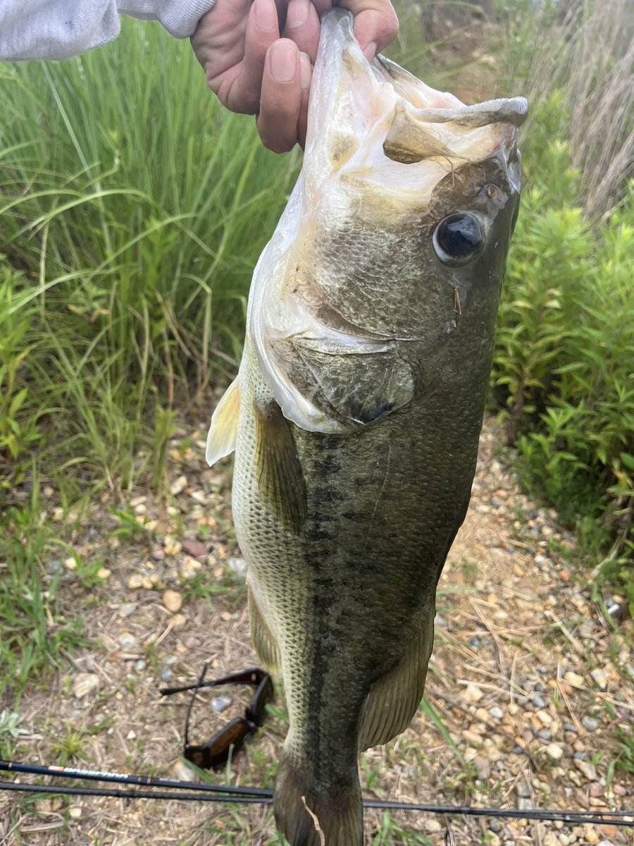 6maker MUSCLE イラストレーター💪🦑　Discord 👇お仕事募集中DM📩 tweet media