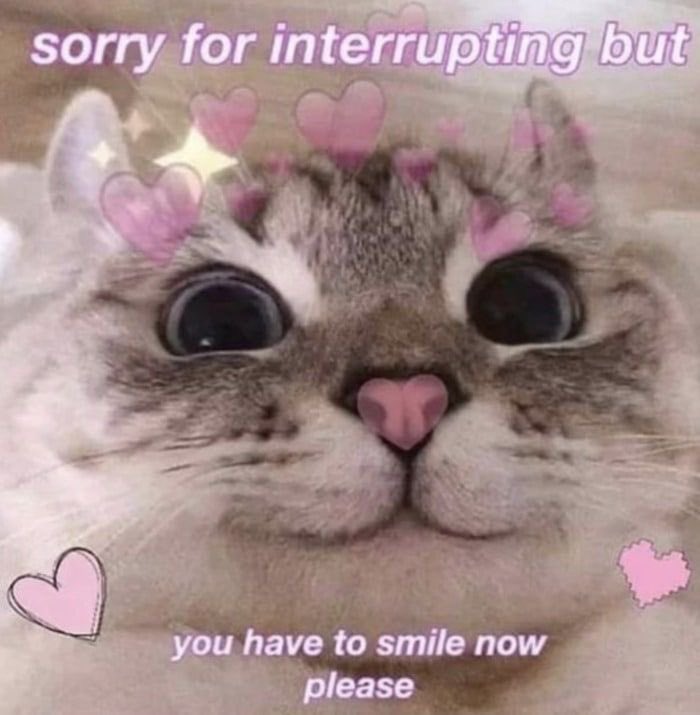 Good Morning 💖🌸 I hope everyone has an amazing day and remember to smile 💕☺️