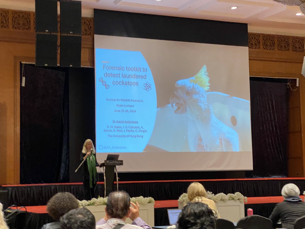 Chloe Hatten tweet media