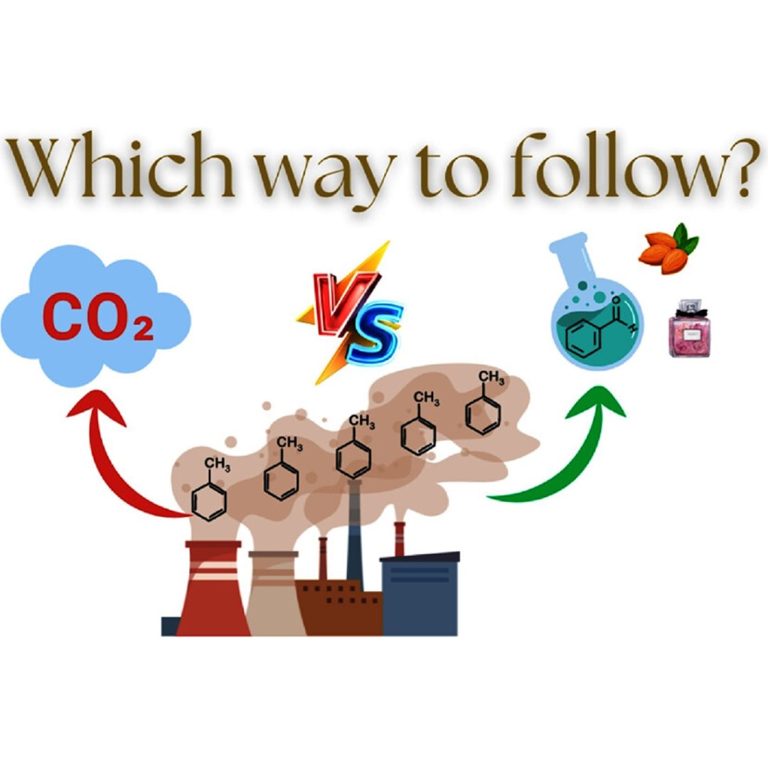 ACS_Omega's tweet photo. Toluene is a VOC used in industrial processes, but it has a huge environmental impact. This Review discusses 2 ways to tackle this problem and presents new advances, trends, and examines pros and cons of both methods.

Learn more 📝 https://t.co/c5GRwmyd7Q 

@ULisboa_ https://t.co/iB1dEly80s