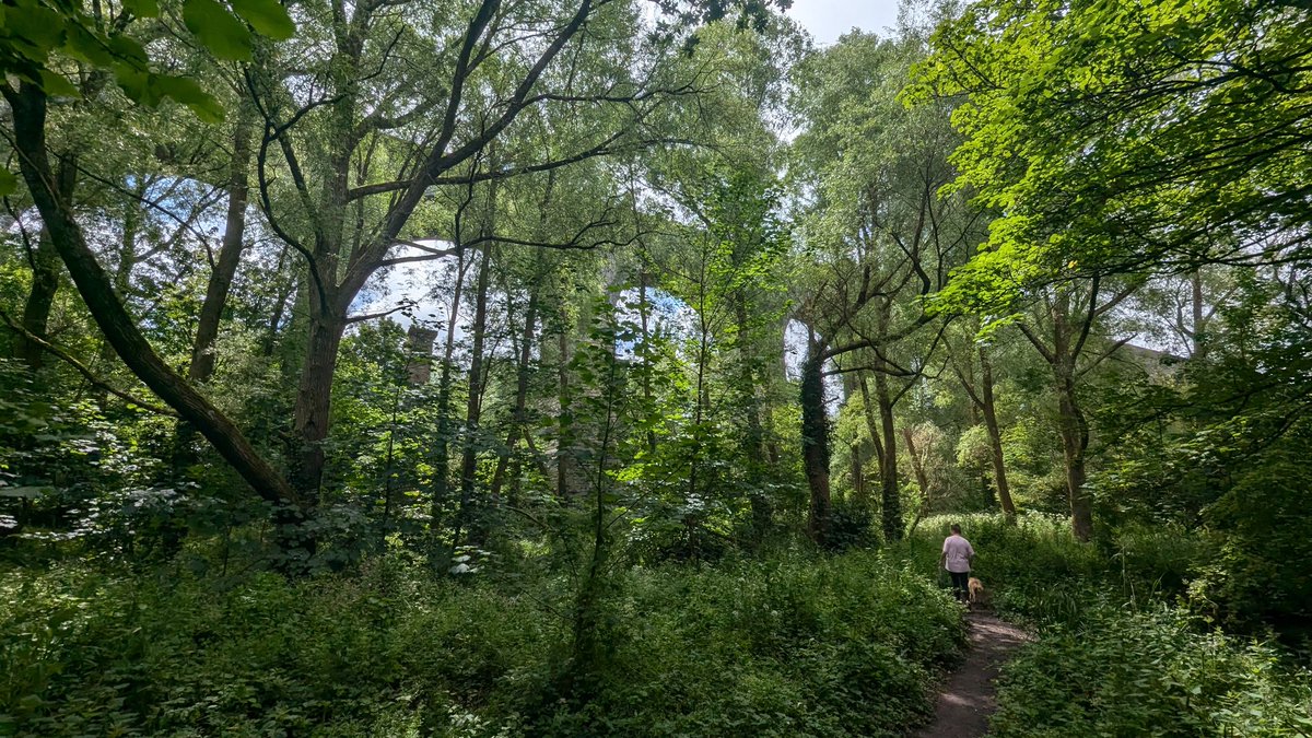 One for <a href="/philipchild/">Phil Child</a> #daubuzmoors