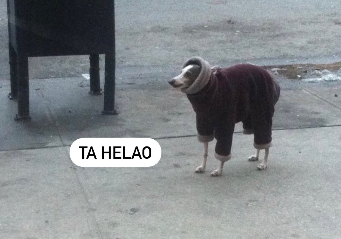 abríguense, metan un buen café con leche y no rompan mucho las bolas que es semana larga como esperanza de pobre