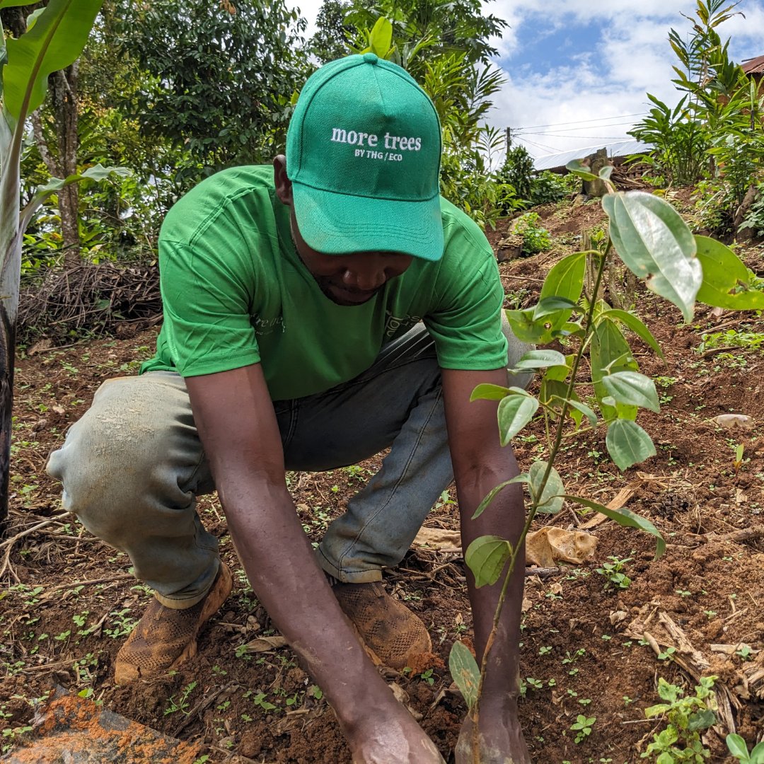 We’re proud to support tree planting in Tanzania’s Kilimanjaro and Tanga regions. These areas have seen significant ecological loss. Our initiative will plant a variety of local trees to restore biodiversity and provide sustainable resources for local communities 🌿