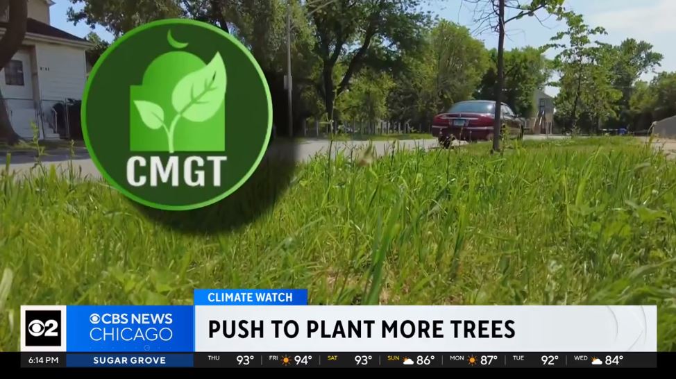 ChiMuslimsGreen's tweet photo. CBS News: "Our Roots Chicago is planting thousands of trees in city's communities to fight climate change."

https://t.co/9IcGONkuoh https://t.co/eo7lgqYZH9