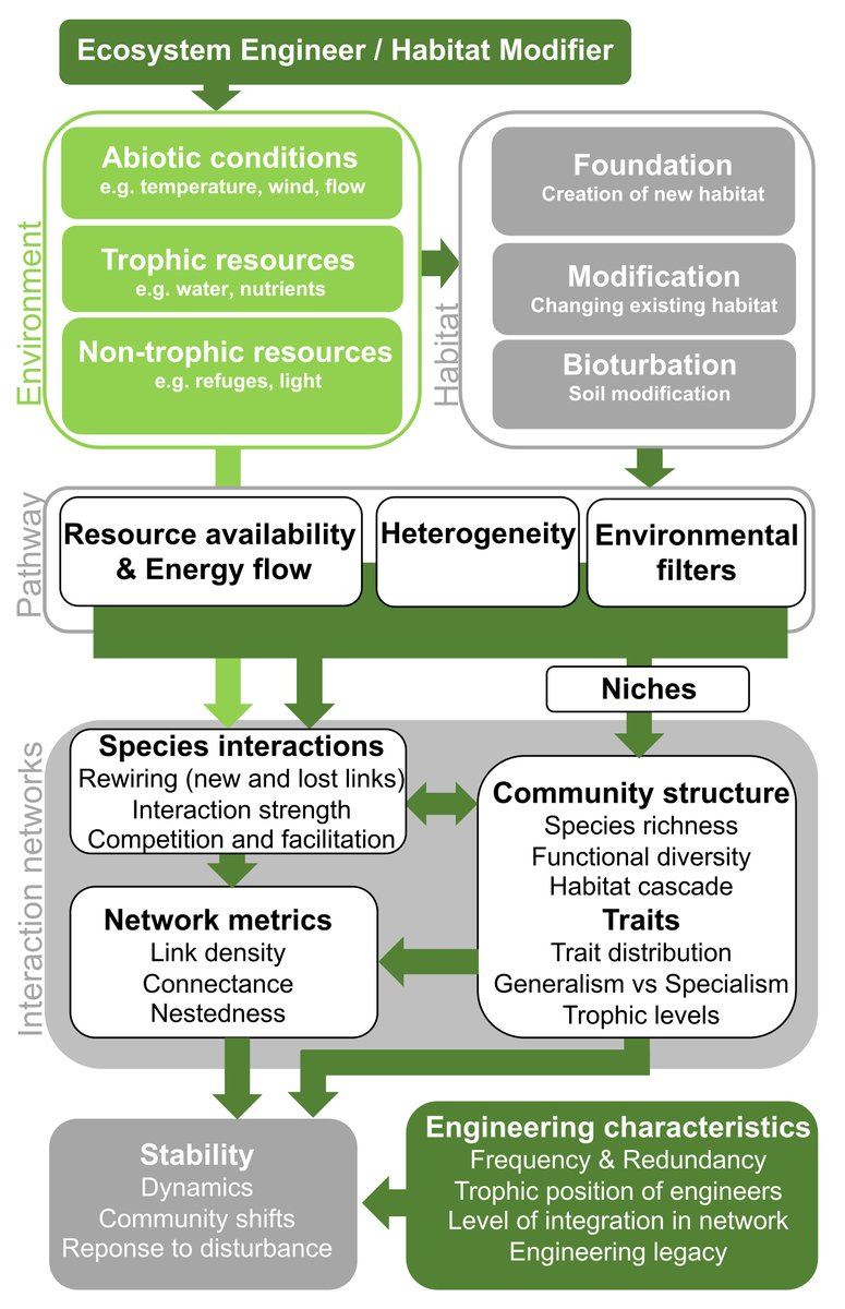 Enric Frago tweet media