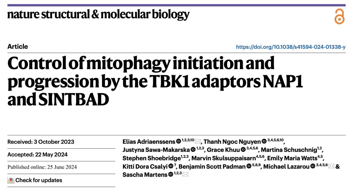 Elias Adriaenssens (@eliasadriaensse) on Twitter photo Super happy to see the final version of our paper on the role of NAP1/SINTBAD in PINK1/Parkin mitophagy!
<a href="/NatureSMB/">NatureStructMolBiol</a>
Read the full paper here: rdcu.be/dLQgH Super happy to see the final version of our paper on the role of NAP1/SINTBAD in PINK1/Parkin mitophagy!
<a href="/NatureSMB/">NatureStructMolBiol</a>
Read the full paper here: rdcu.be/dLQgH