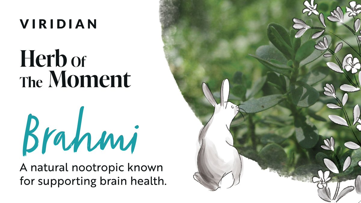 🌿Brahmi, Viridian Ingredient of the Year🌿 is a natural nootropic known for supporting brain health🧠.
Also known as Bacopa monnieri, Brahmi is also often referred to as ‘herb of grace.’ Find out more about this fascinating herb 👉 viridian-nutrition.com/blogs/nutritio…