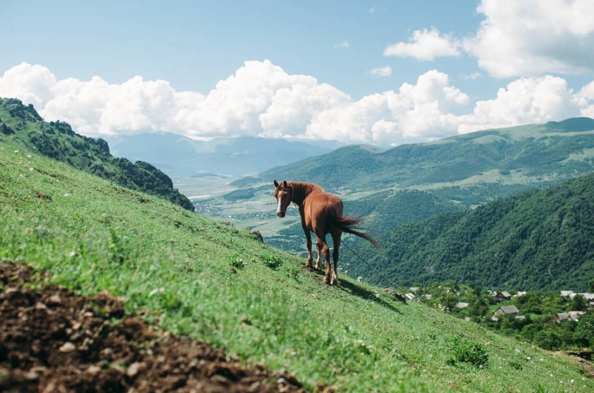 armenia's tweet photo. Top-5 facts about #LoriRegion:
1. Capital of #Lori, #Vanadzor is the third-largest city in #Armenia.
2.#Debed River runs through Lori.
3.Lori is known for mineral springs.
4.Stepanavan Dendropark covers around 35 hectares.
5.Lori is home to several #UNESCO World Heritage Sites. https://t.co/SIoTKk9Chb