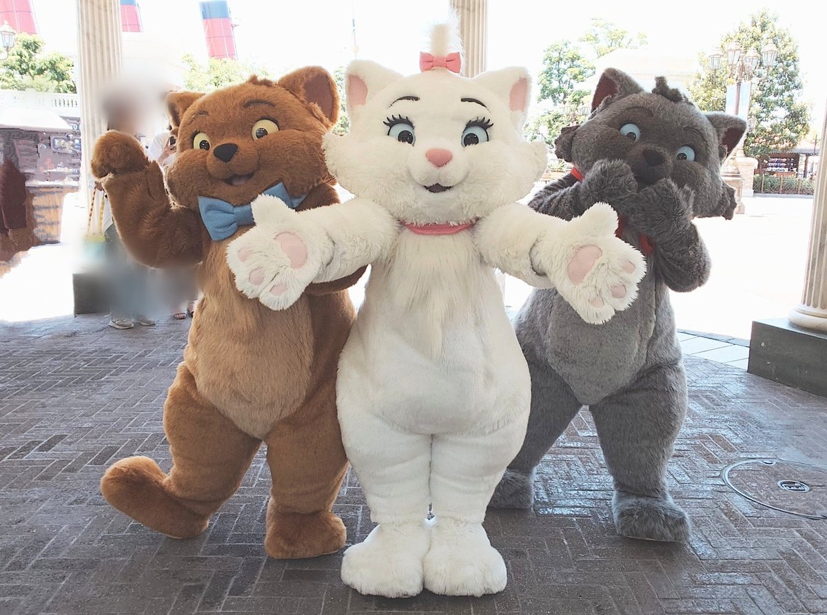 ねこざんまい！！