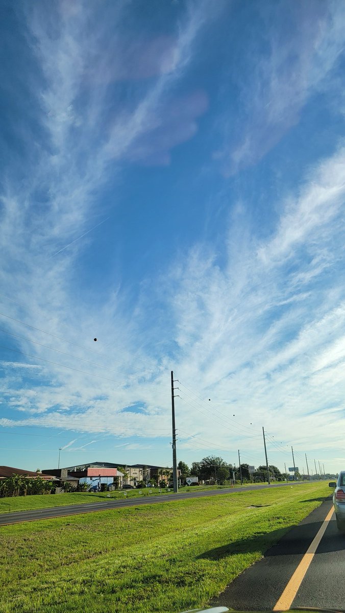 Edwinn_eatz's tweet photo. KISSIMMEE, FLORIDA
#FLORIDA #Kissimmee
#sunny #clouds
#photographyeveryday
#nofilter #nofilter #nofilterchallenge #nofilters
#nofilterneeded #noediting
#noedit #noeditchallenge
#tuesday #tuesdaymorning
#todayinflorida #florida #floridaweather #photo https://t.co/uNqNfsePv3