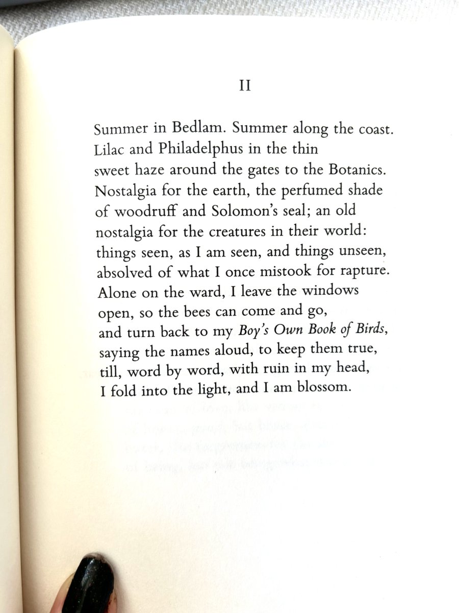 Vasiliki Albedo tweet media