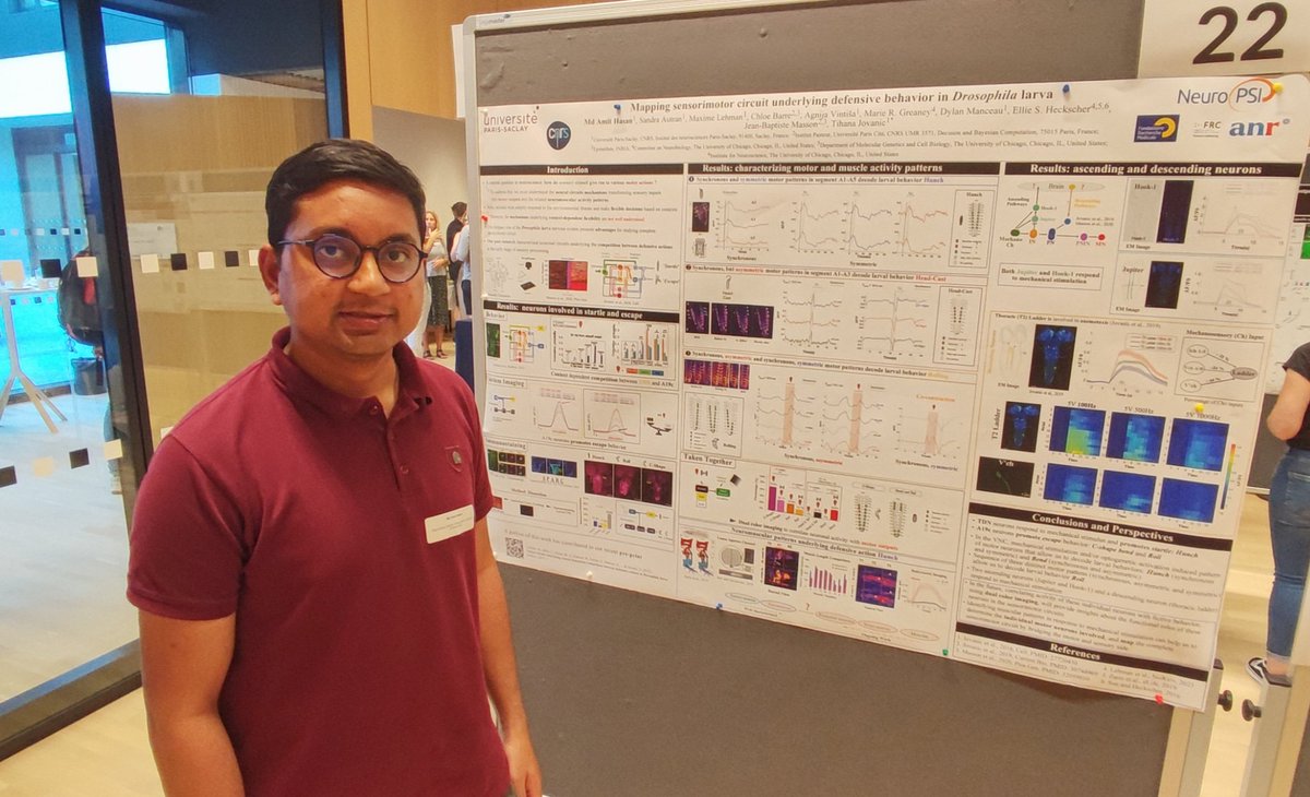 Md Amit HASAN (@amit_hasan_97) on Twitter photo 2nd Pre-FENS motor control across scales at <a href="/ISTAustria/">ISTAustria</a>, Vienna.
1/ Had a great time while presenting my poster on mapping sensorimotor circuit of Drosophila larva from <a href="/Tihanana/">Tihana JOVANIC</a>'s lab, <a href="/NeuroPSI_saclay/">Paris-Saclay Institute of Neuroscience</a>. 2nd Pre-FENS motor control across scales at <a href="/ISTAustria/">ISTAustria</a>, Vienna.
1/ Had a great time while presenting my poster on mapping sensorimotor circuit of Drosophila larva from <a href="/Tihanana/">Tihana JOVANIC</a>'s lab, <a href="/NeuroPSI_saclay/">Paris-Saclay Institute of Neuroscience</a>.