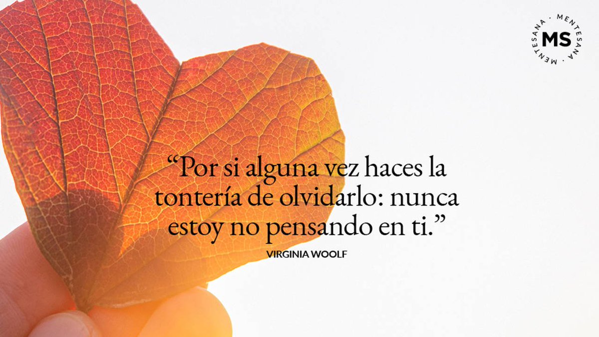 Maria Pinales (@mariapinalessx) on Twitter photo 