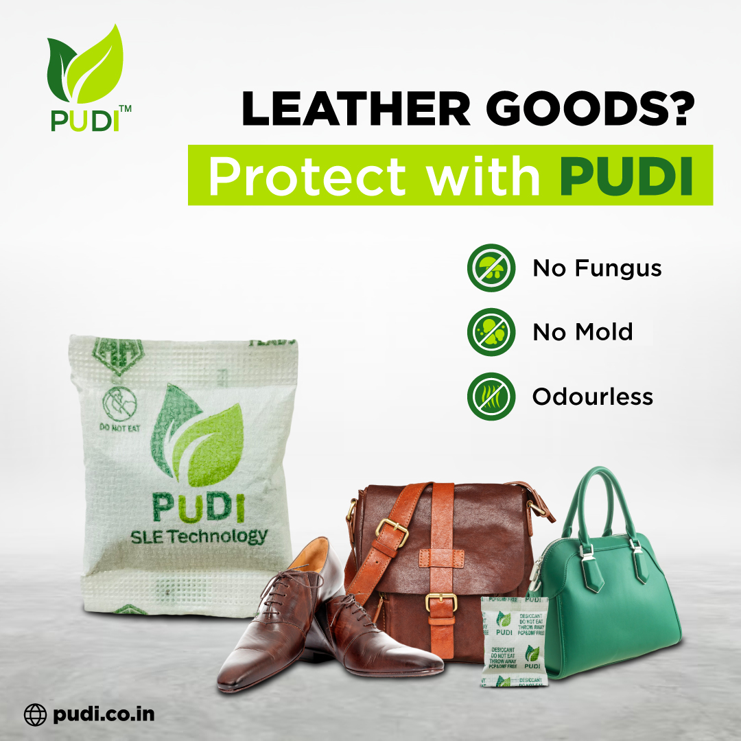 PUDI tweet media