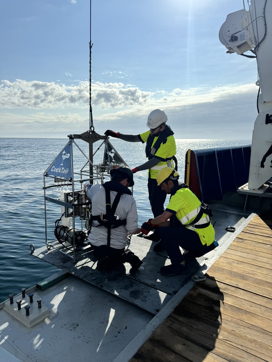 microbiaki's tweet image. Job alert!
We are looking for #Postdoc in microbial genomics and ecophysiology @WHOI 
If you are passionate about microorganisms in oxygen-depleted systems, apply to join our lab careers-whoi.icims.com/jobs/2353/post…

Please, spread the word!