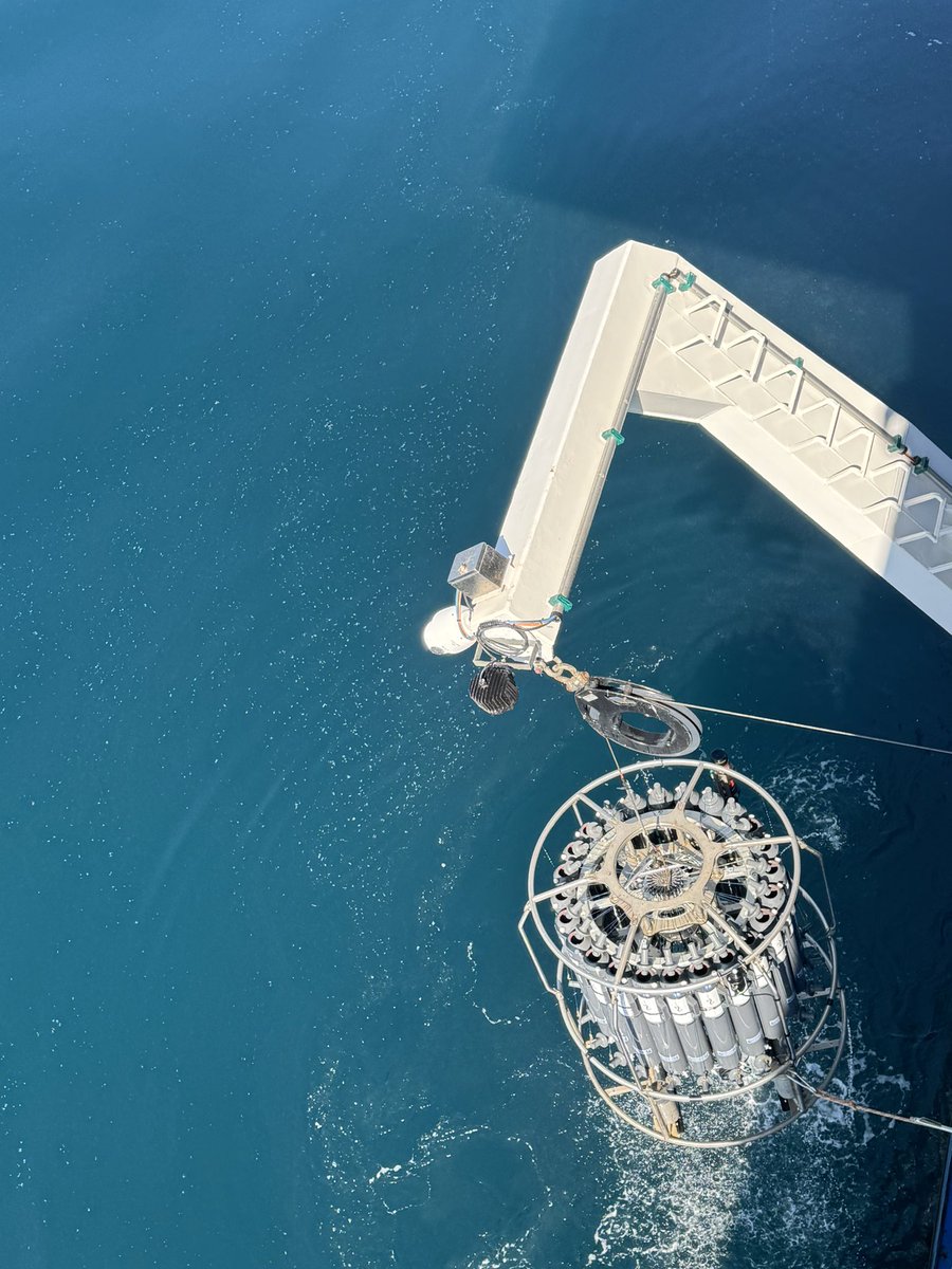 microbiaki's tweet image. Job alert!
We are looking for #Postdoc in microbial genomics and ecophysiology @WHOI 
If you are passionate about microorganisms in oxygen-depleted systems, apply to join our lab careers-whoi.icims.com/jobs/2353/post…

Please, spread the word!