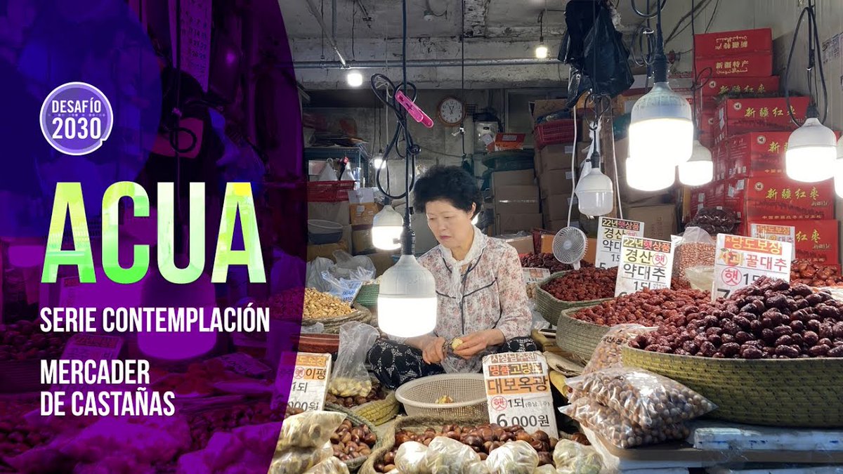🤓🌎 ¿Ya sigues nuestro canal de Youtube? | Suscríbete para una nueva historia 👉🌱  Un poco de arte para descansar... Mercader de castañas

 #Desafío2030 #ODS #DesarrolloSostenible #Agenda2030 i.mtr.cool/fxjueuqsew