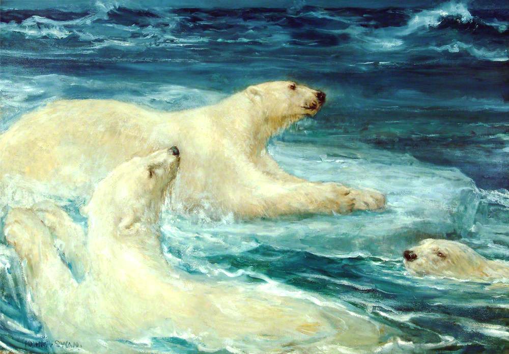 Art UK (@artukdotorg) on Twitter photo Did you know Scottish museum collections own many objects relating to polar bears? 🐻❄️
Read more in this new story by <a href="/ImageoftheZebra/">Image of the Zebra</a> 👉 artuk.org/discover/stori…
'Adrift' by John Macallan Swan (1847–1910) 📷 <a href="/AbdnArtMuseums/">Aberdeen Archives, Gallery & Museums</a> Did you know Scottish museum collections own many objects relating to polar bears? 🐻❄️
Read more in this new story by <a href="/ImageoftheZebra/">Image of the Zebra</a> 👉 artuk.org/discover/stori…
'Adrift' by John Macallan Swan (1847–1910) 📷 <a href="/AbdnArtMuseums/">Aberdeen Archives, Gallery & Museums</a>
