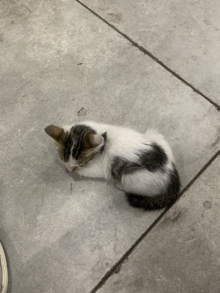 Habis ini balik ke rumah membawa majikan baru
