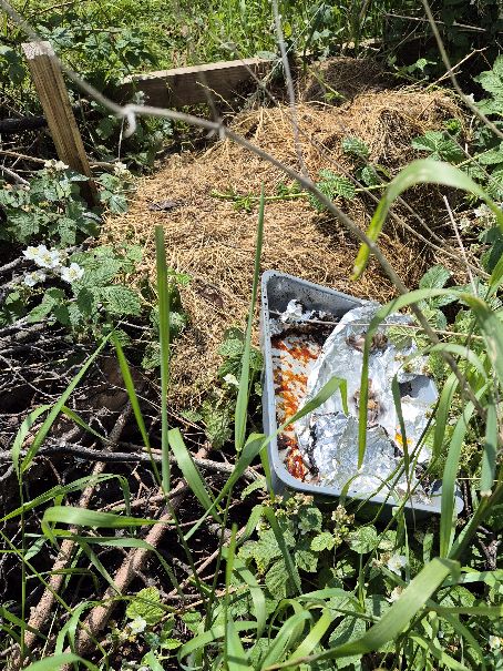 BBullrushes's tweet image. Making the most of the 🌞 &amp;amp; 3 bags filled. #Strangestfinds were a large plastic planter, paint can &amp;amp; oven tray all dumped in the 🌾 Still spotting new #wildflowers in bloom &amp;amp; some Chimney Sweeper moths 🦋 @KeepBritainTidy @Love_plants #butterflies #moths @LitterReporting