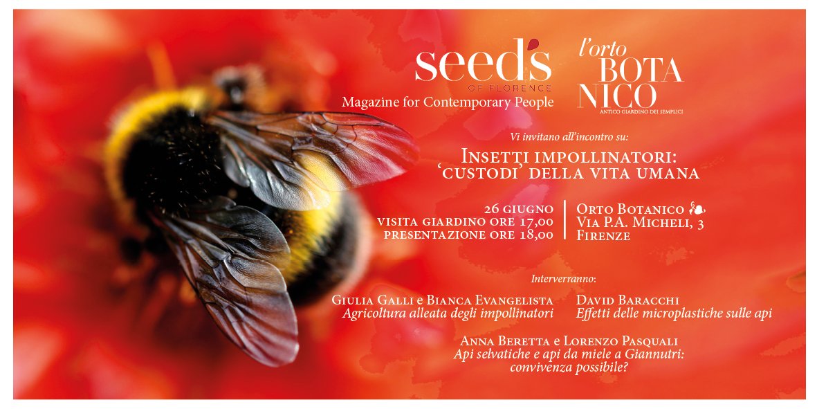 Domani all'Orto Botanico di Firenze parliamo di #impollinatori, dalla loro importanza economica e ecologica alle cause del loro declino e il ruolo chiave della ricerca scientifica per migliorare il loro stato di salute e quello degli ecosistemi. Grazie #seedsflorence per l'invito
