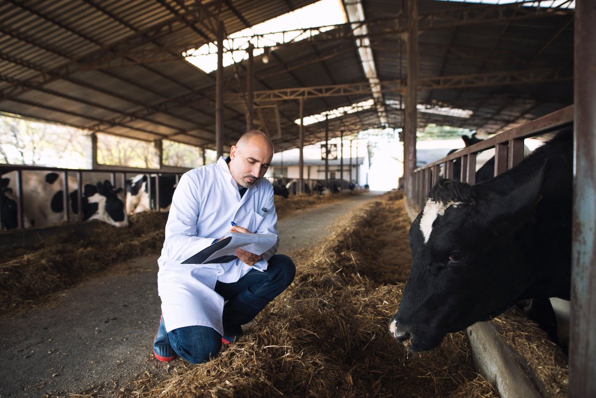 ✅ Extendemos nuestro reconocimiento a <a href="/UTEoficial/">Universidad UTE</a> al obtener la certificación del Comité de Ética para la investigación con animales, su compromiso y esfuerzo para cumplir con los estándares éticos nacionales e internacionales, garantizan el cuidado y respeto de los animales