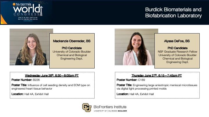 BurdickLab (@burdicklab) on Twitter photo The Burdick Lab is at #TERMIS2024 in Seattle!
Stop by Mackenzie (<a href="/mcobenreder/">Mackenzie Obenreder</a>) and Alysse's posters over the next few days to hear about our latest work in the cardiac and musculoskeletal tissue engineering spaces. <a href="/BioFrontiers/">BioFrontiers 💻🦠🧬🧪🧫💉📊📓</a> <a href="/CUEngineering/">CU Boulder Engineering 🦬</a> The Burdick Lab is at #TERMIS2024 in Seattle!
Stop by Mackenzie (<a href="/mcobenreder/">Mackenzie Obenreder</a>) and Alysse's posters over the next few days to hear about our latest work in the cardiac and musculoskeletal tissue engineering spaces. <a href="/BioFrontiers/">BioFrontiers 💻🦠🧬🧪🧫💉📊📓</a> <a href="/CUEngineering/">CU Boulder Engineering 🦬</a>