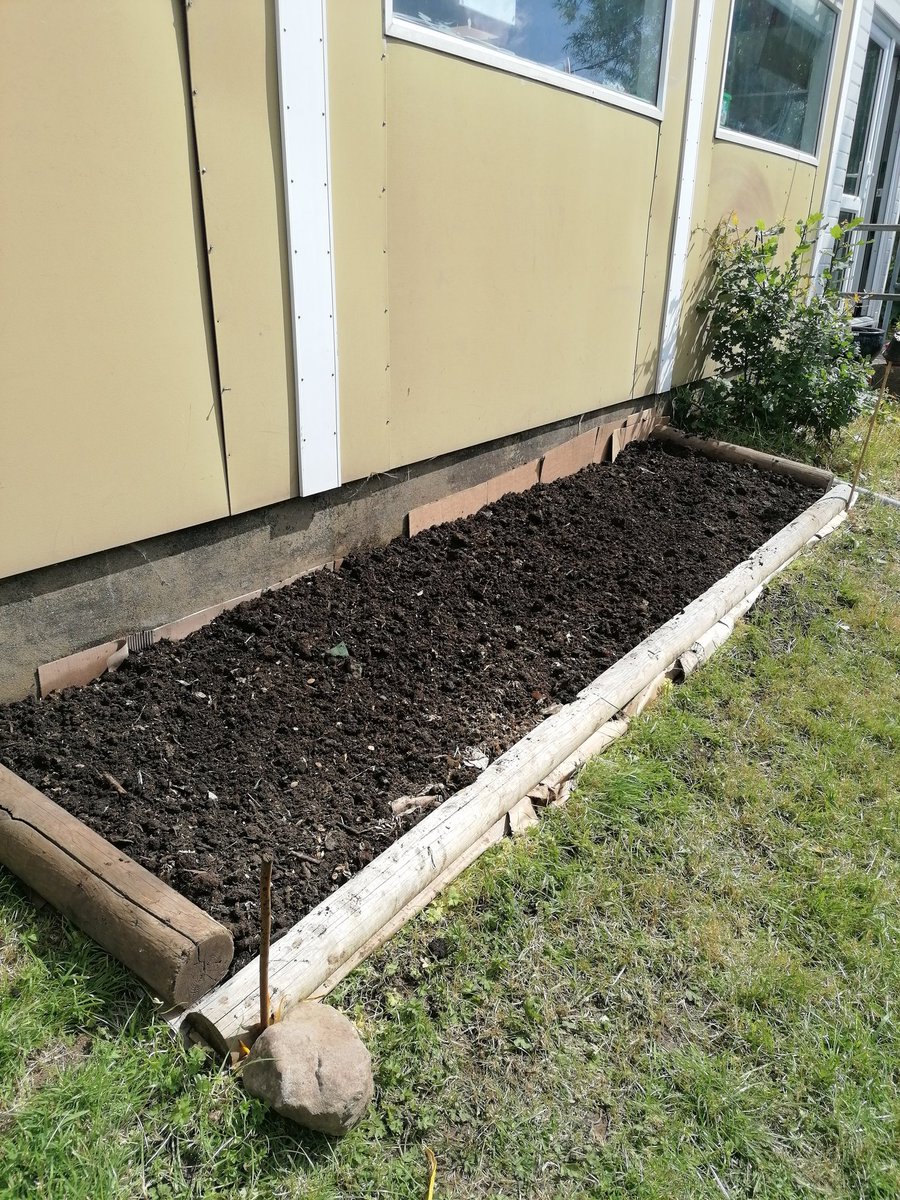 Llanishen Fach tweet media